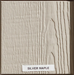 Silver Maple