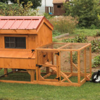 Chicken Coops Product Categories Backyard Escapes