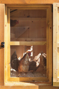 chicken coop ventilation option