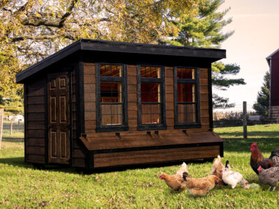 Lean-To Chicken Coops
