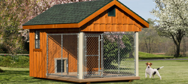 large dog kennel enclosure ideas